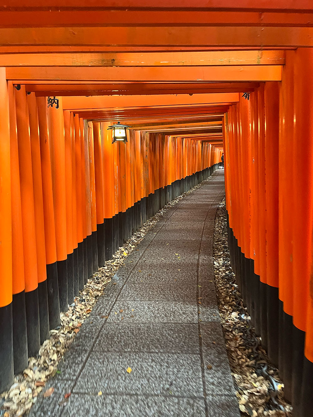 WHAT I SAW: KYOTO
