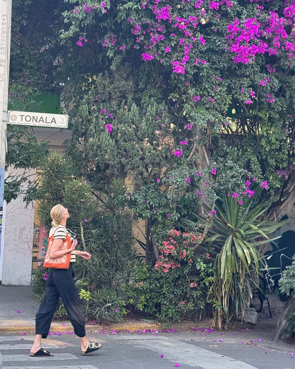 WHERE I WAS: MEXICO CITY