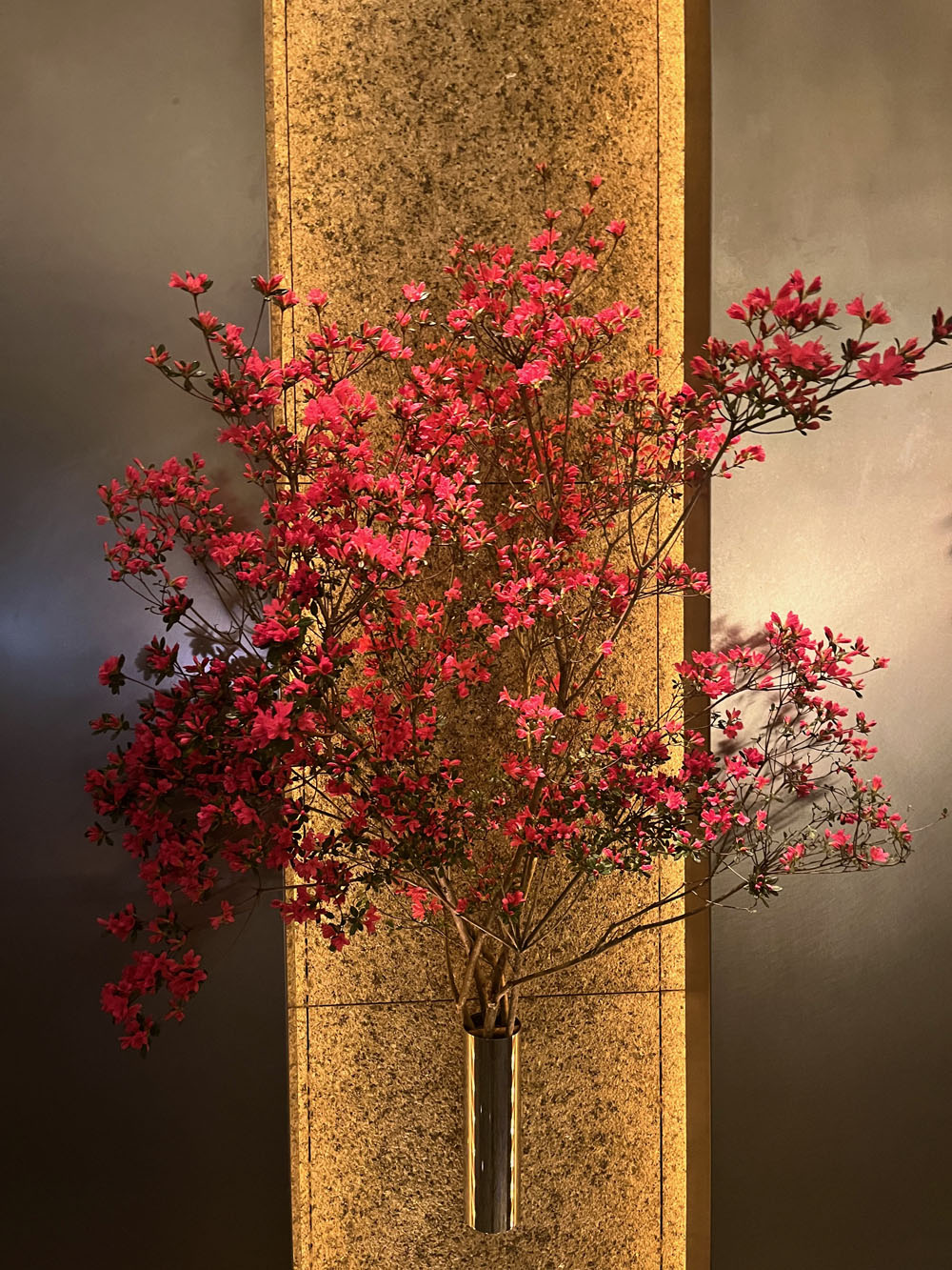 WHEN TO GO & WHERE TO STAY: TOKYO