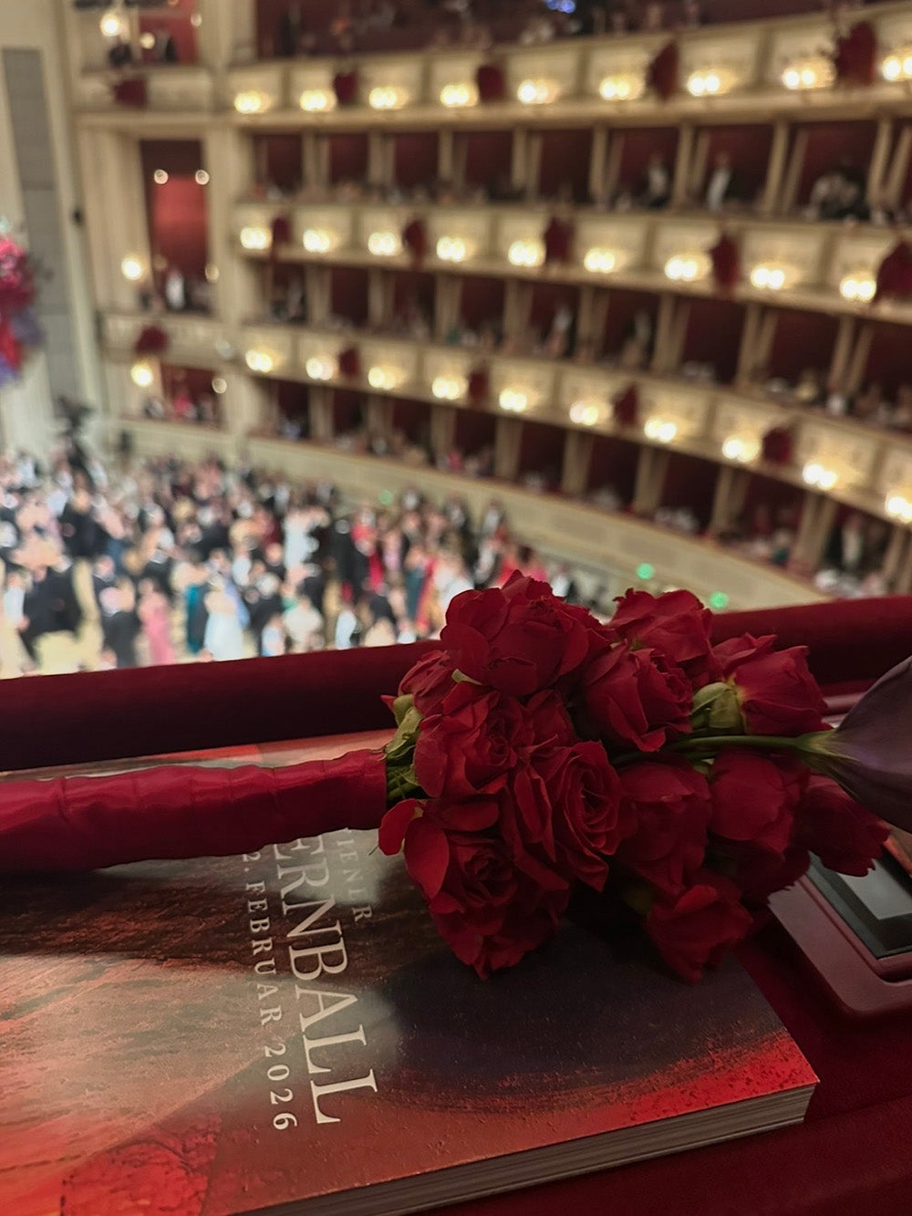WHAT I SAW: VIENNA